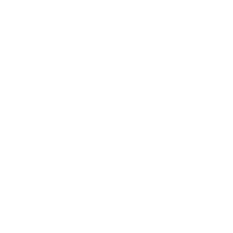 Raiders Tirol  Logo